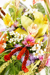 Similar image 2220644