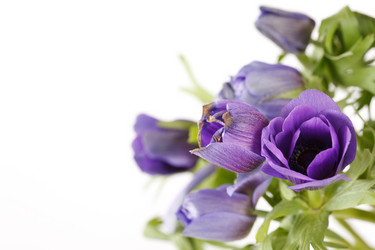 Similar image 2220648