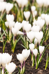 Similar image 2220650