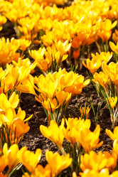 Similar image 2220654