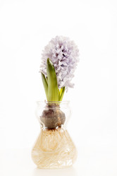 Similar image 2220656