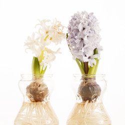 Similar image 2220657