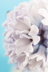 Similar image 2220661