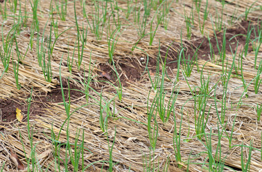 Similar image 2220724