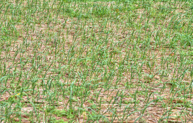 Similar image 2220741