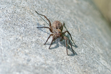 Similar image 2220801