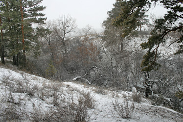 Similar image 2230467