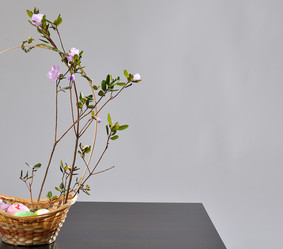 Similar image 2230664