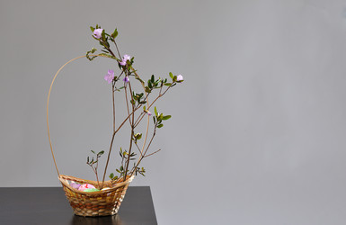 Similar image 2230746