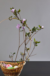 Similar image 2230752