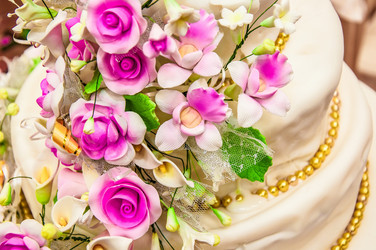 Similar image 2230867