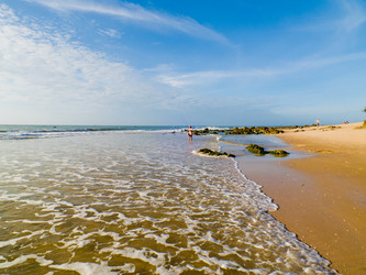 Similar image 2230992