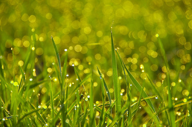 Similar image 2231037