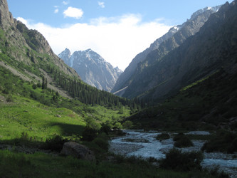 Similar image 2231111