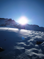 Similar image 2231115