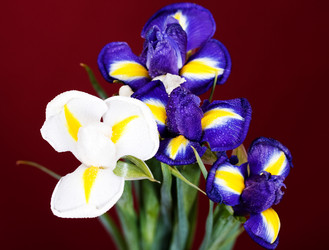 Similar image 2231215