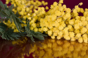 Similar image 2231238