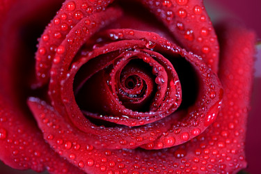 Similar image 2231241