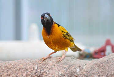 Similar image 2231311