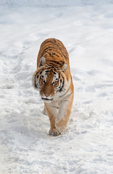 Similar image 2231315