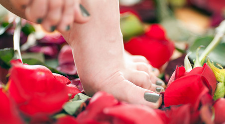 Similar image 2231453