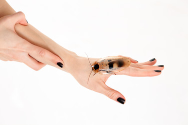 Similar image 2231489