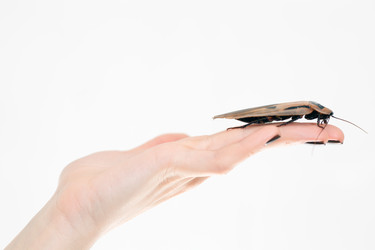 Similar image 2231493