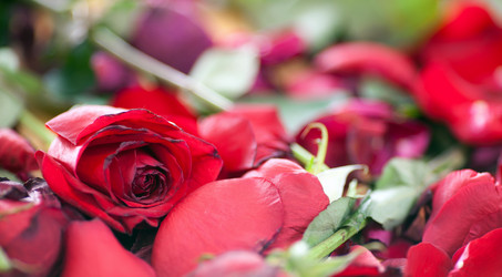 Similar image 2231495