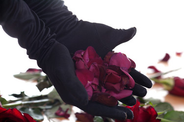 Similar image 2231498