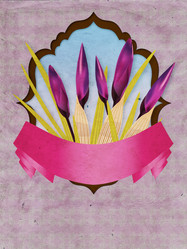 Similar image 2231527