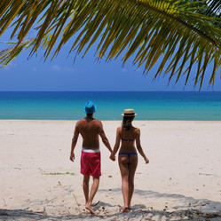 Similar image 2231838