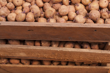 Similar image 2231854