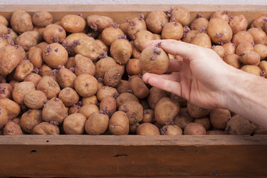 Similar image 2231859