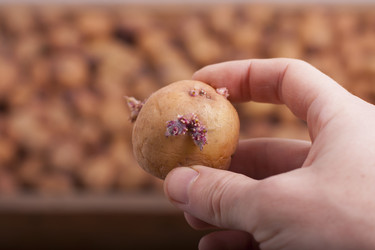 Similar image 2231861