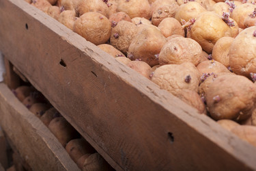 Similar image 2231866