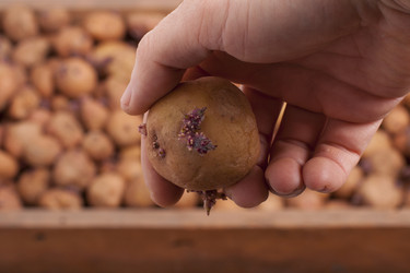 Similar image 2231877