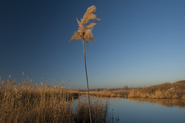 Similar image 2231879