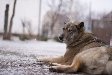 Similar image 2231888