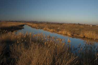 Similar image 2231893