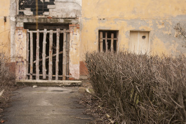 Similar image 2231967