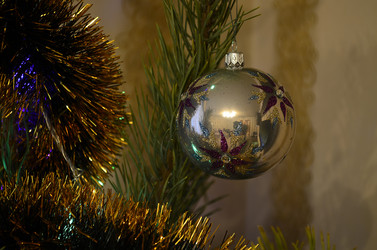 Similar image 2232020