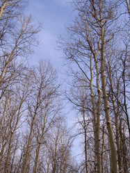 Similar image 2232765