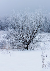 Similar image 2232837