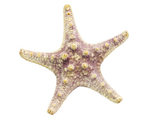 Similar image 2232838