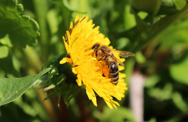 Similar image 2232865