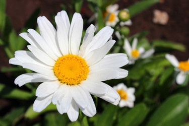 Similar image 2232894