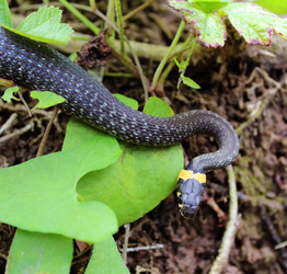 Similar image 2232899