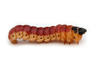 Similar image 2232911