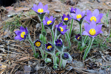 Similar image 2232999