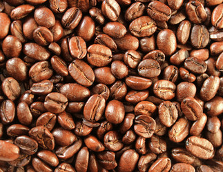 Similar image 2233007